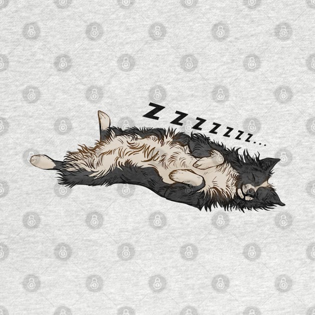 Snooze Border collie by Pandemonium